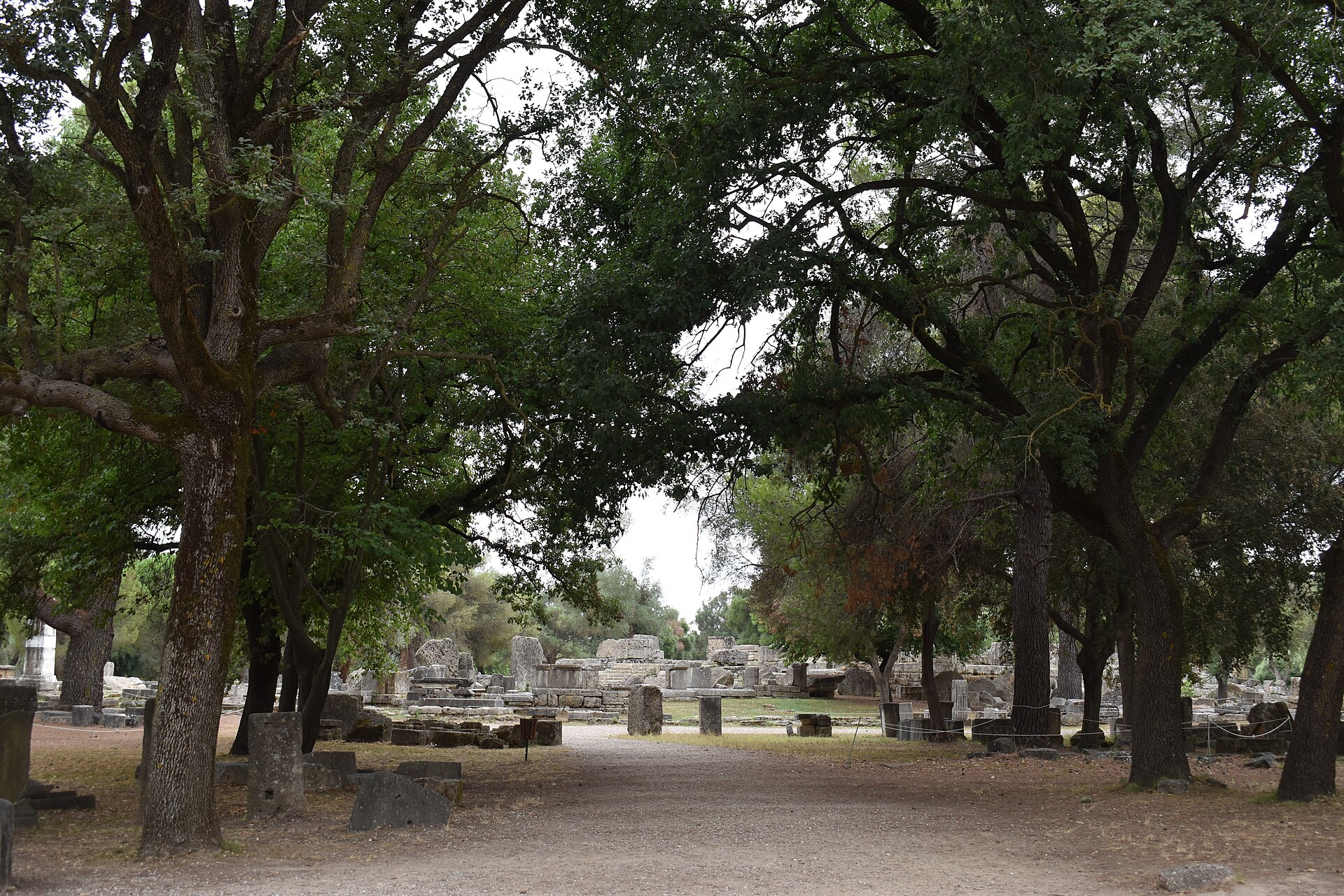 Stone remains of ancient Olympia set beneath mature trees in the archaeological sanctuary